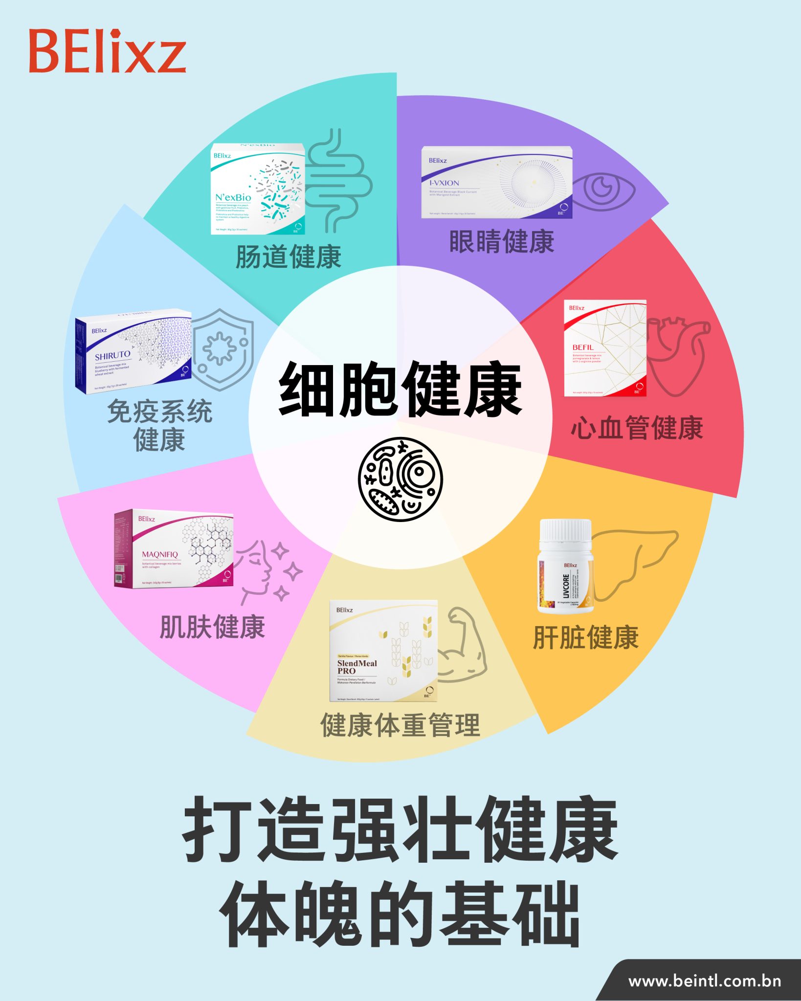 BE健康研讨会2025总结：BElixz, 你的日常健康指南