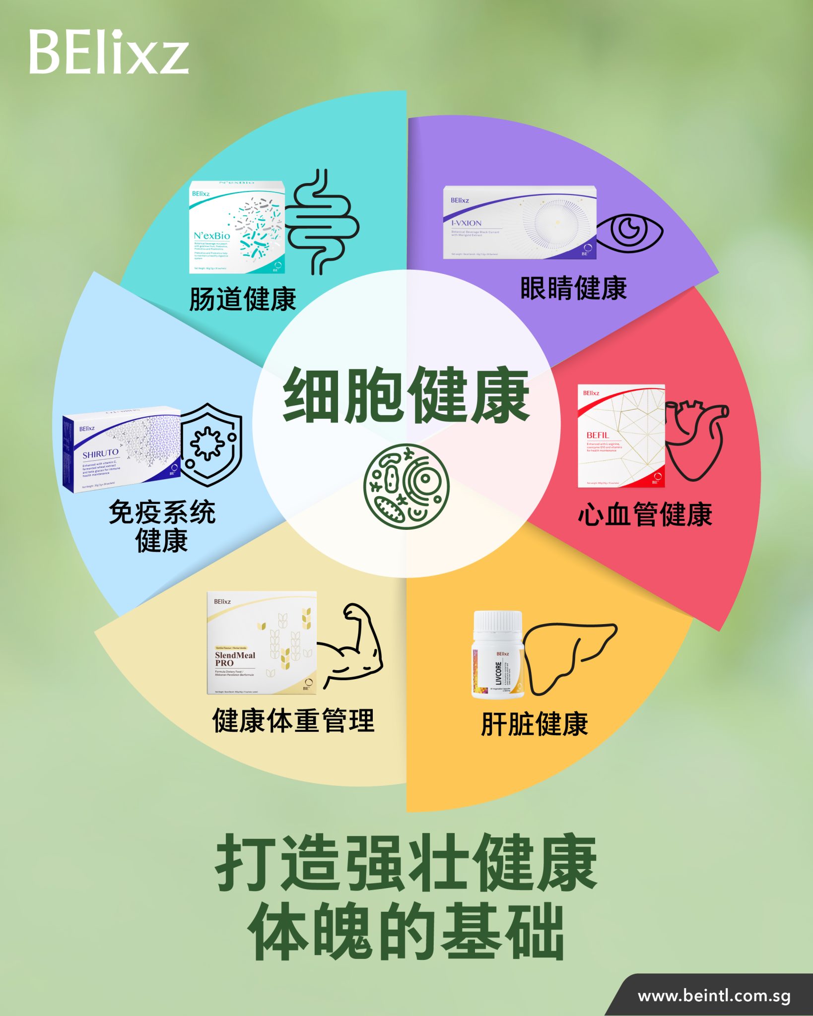 2026 BE 健康研讨会 (SG & BN) 回顾：迈向更健康的自己