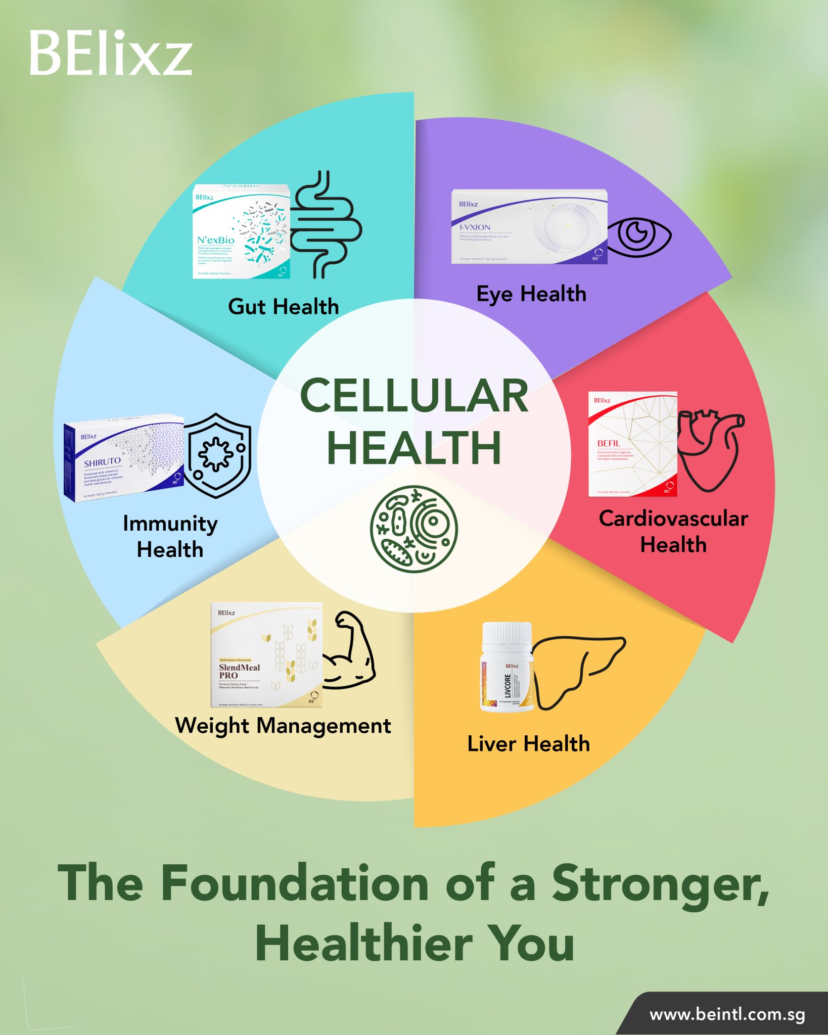 2026 BE Health Seminar (SG & BN) Recap: Steps to a Healthier You
