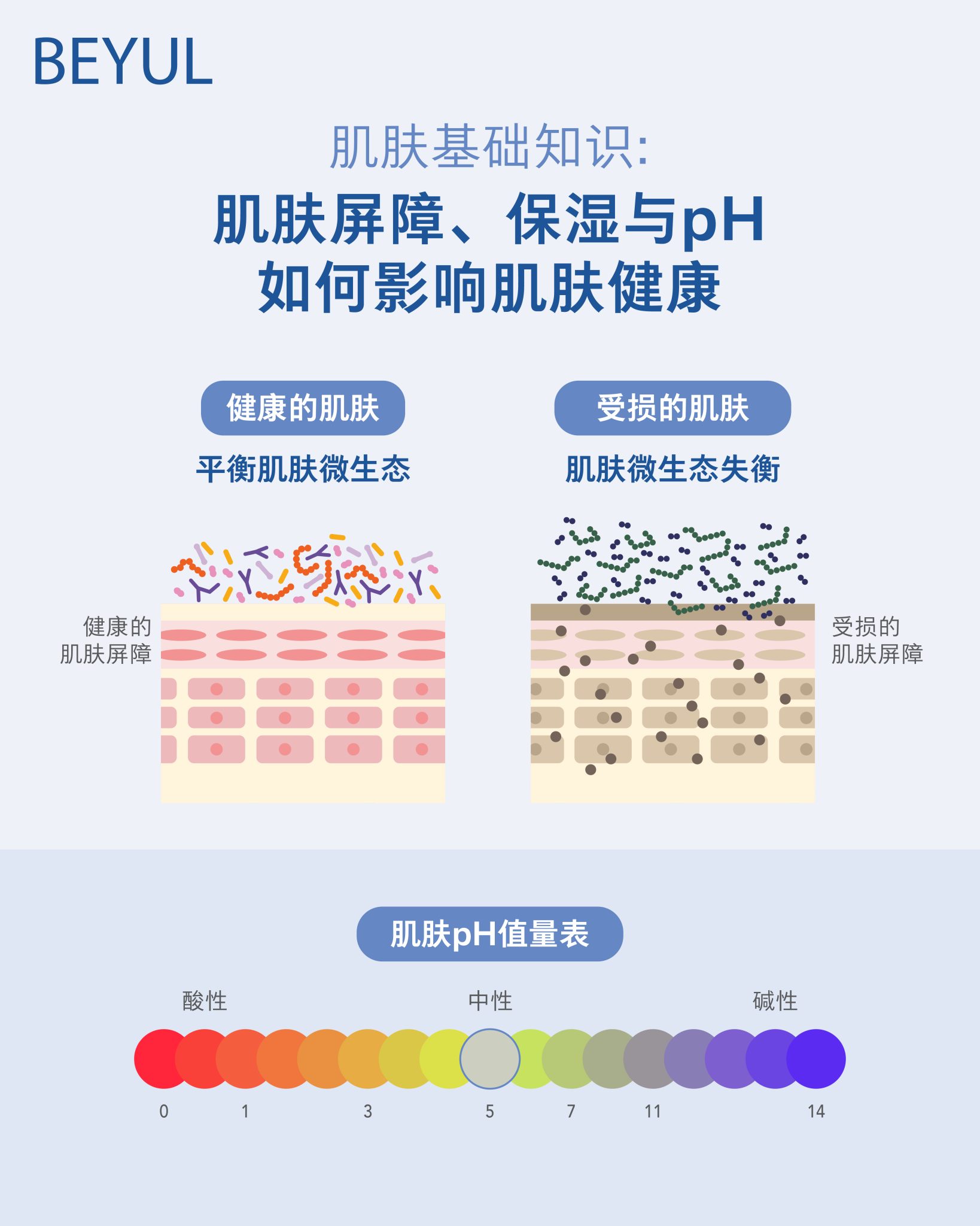 肌肤基础知识：为什么肌肤屏障强度、水分和 pH 值对肌肤健康至关重要?