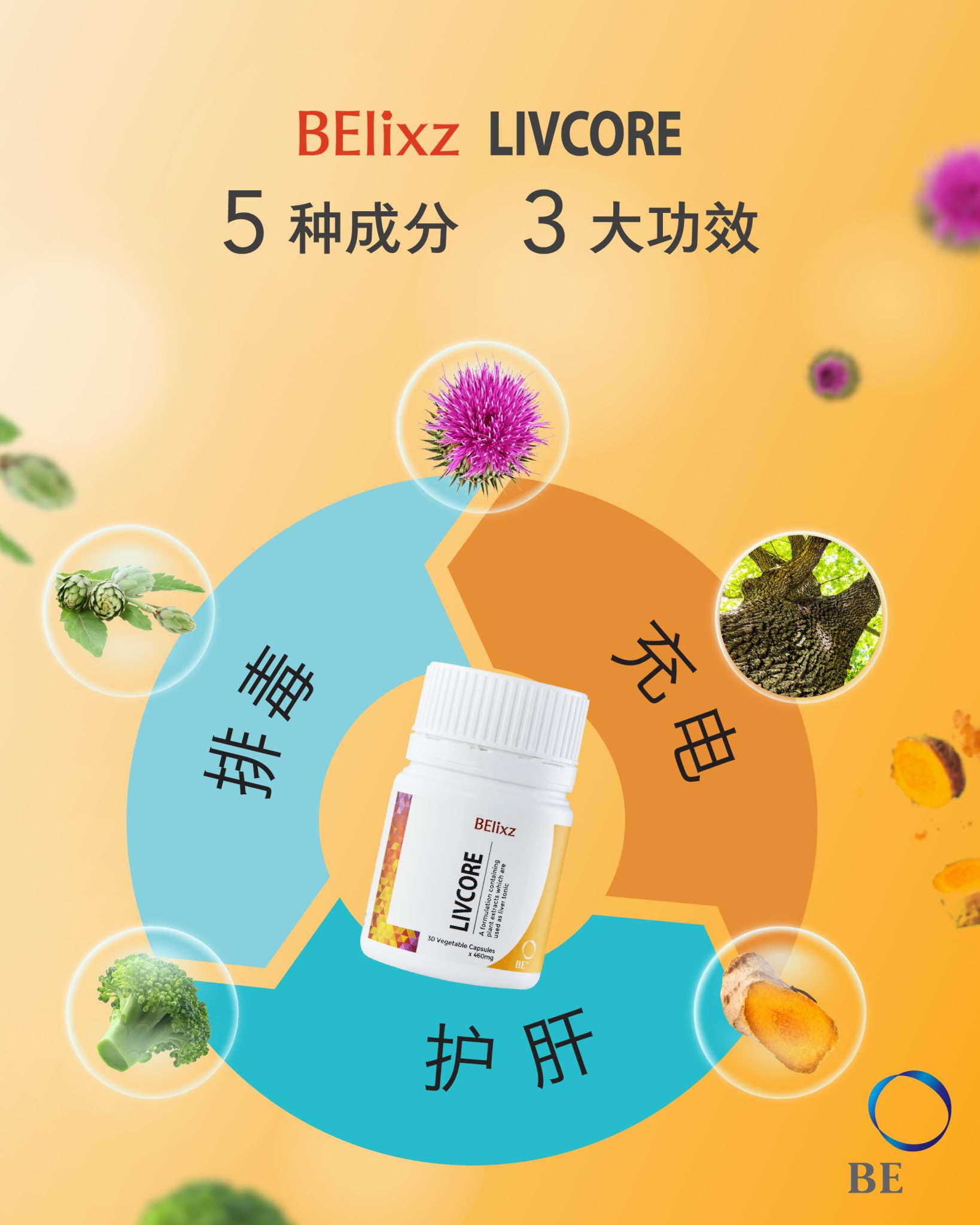 BElixz LIVCORE 使用指南：天然护肝、成分与功效