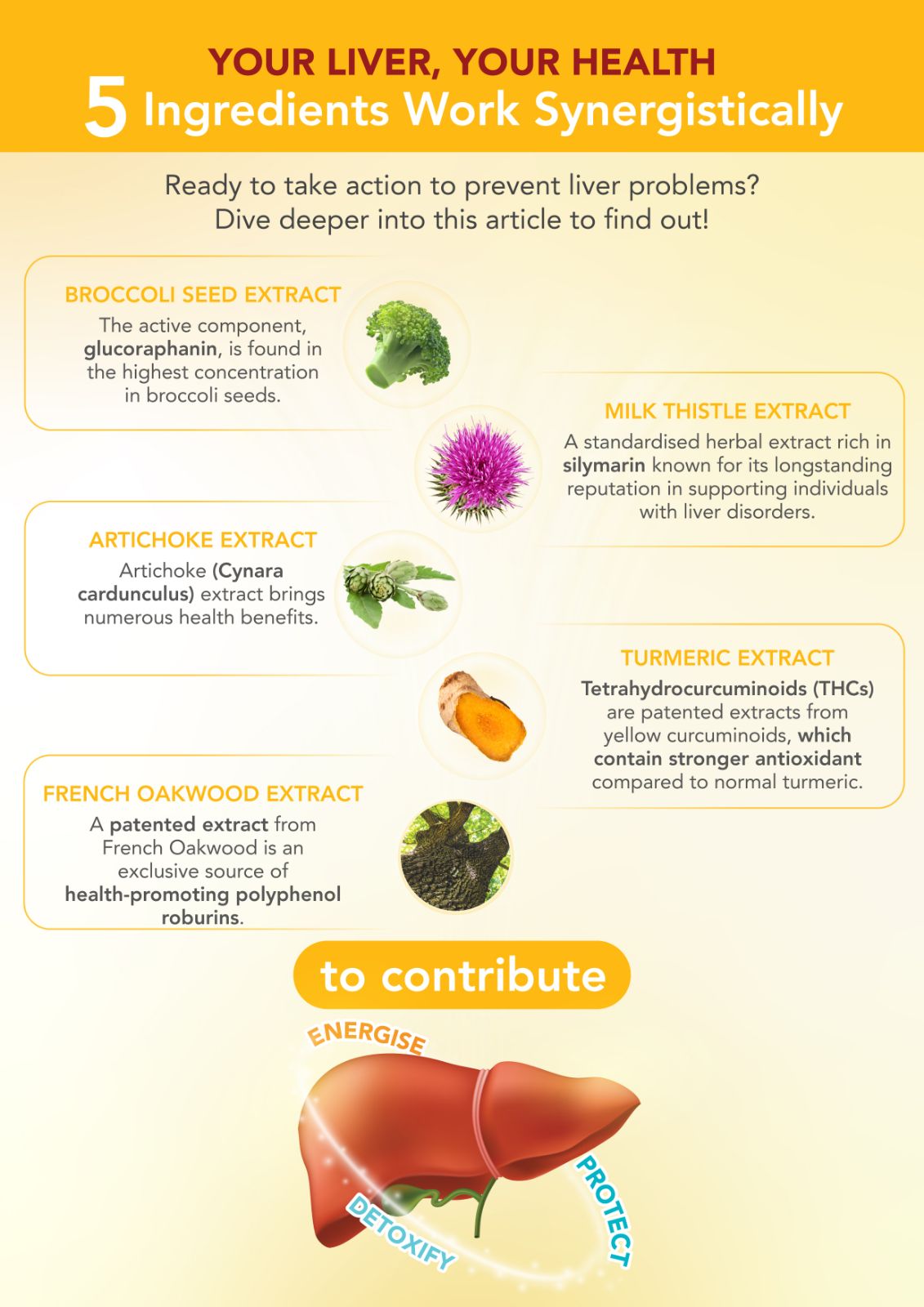 Looking for Liver Health? Here Are 5 Supportive Ingredients