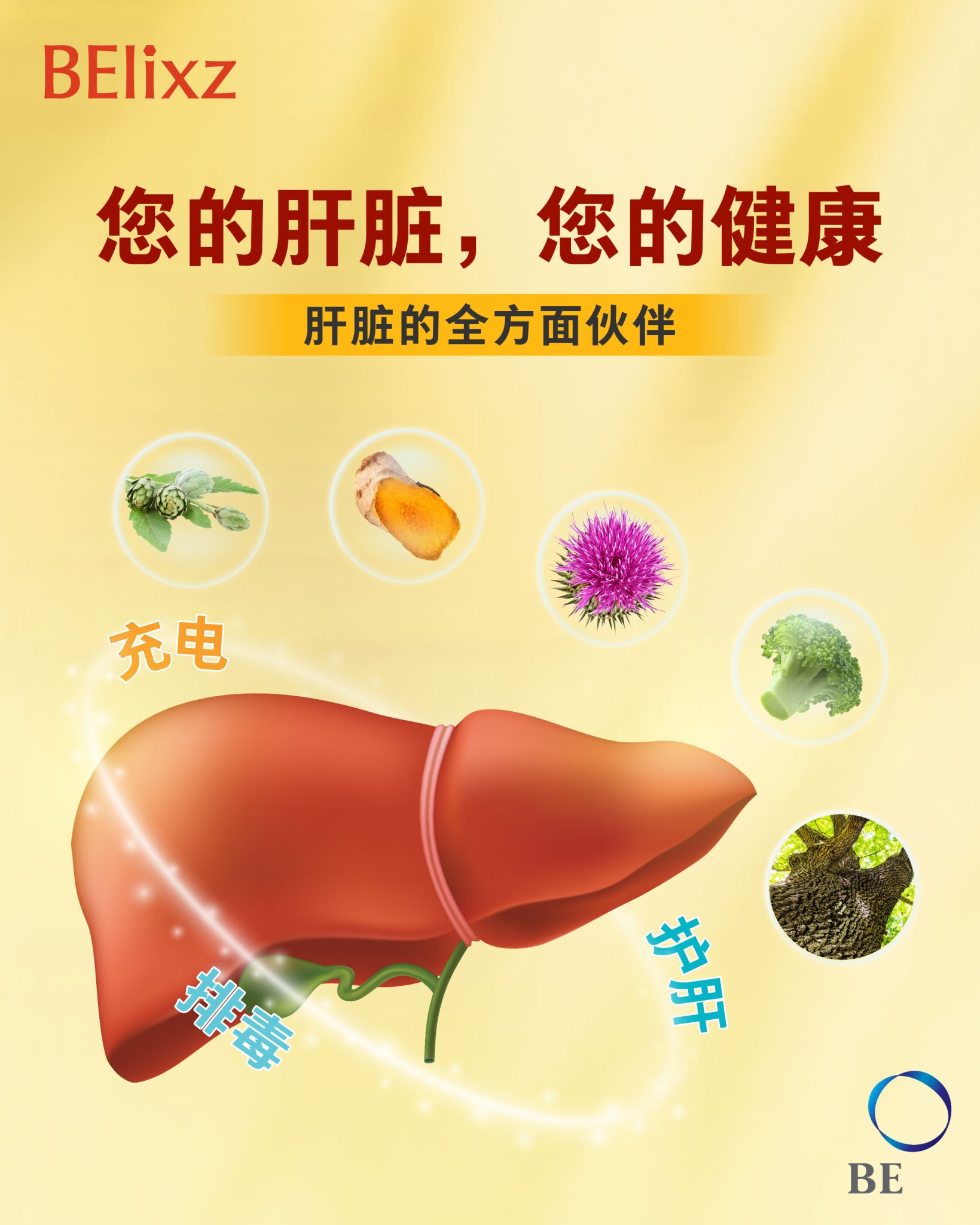 您的肝脏健康，由您守护：全方位肝脏健康的贴心伙伴