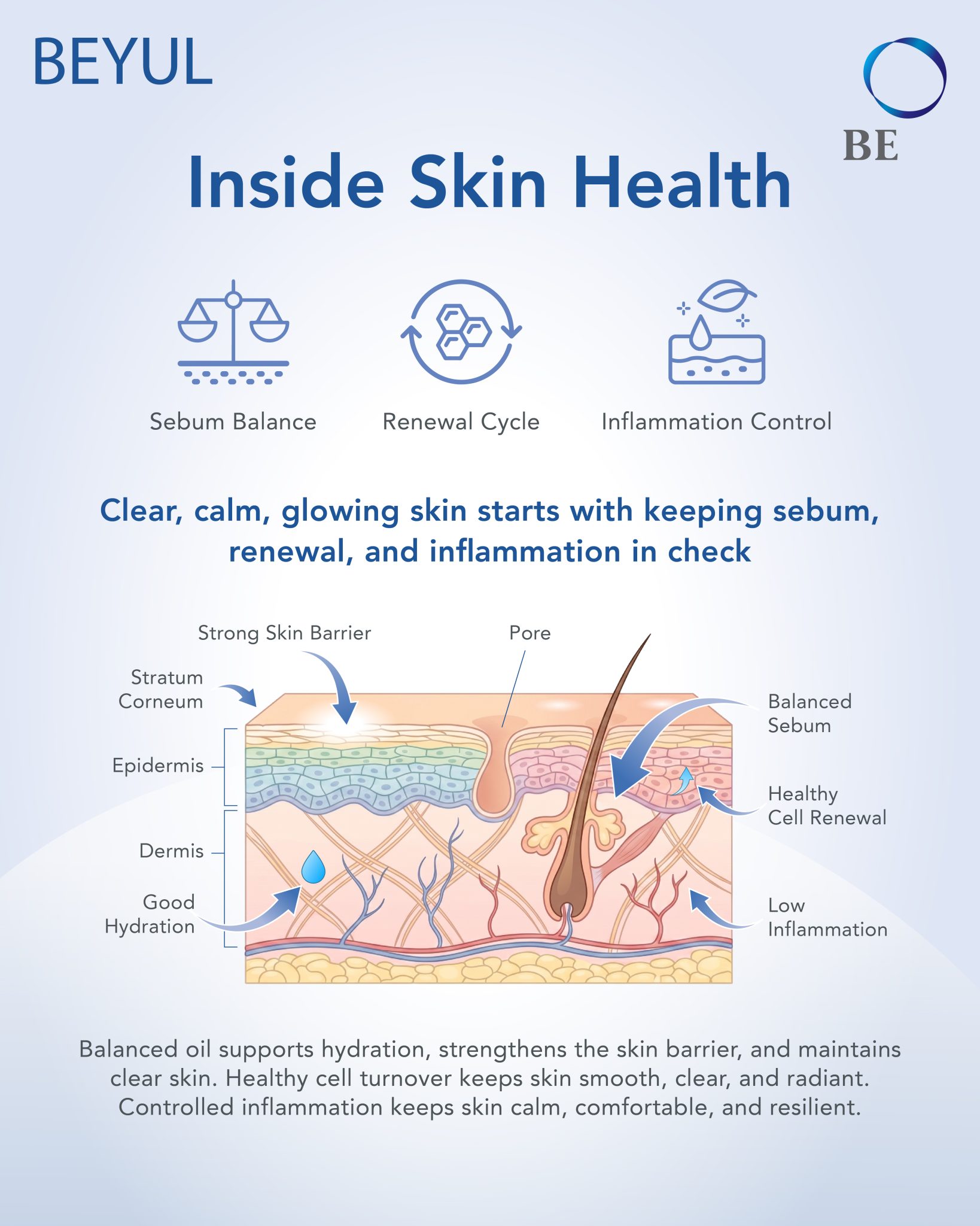 Inside Skin Health: Sebum, Renewal & Inflammation Explained